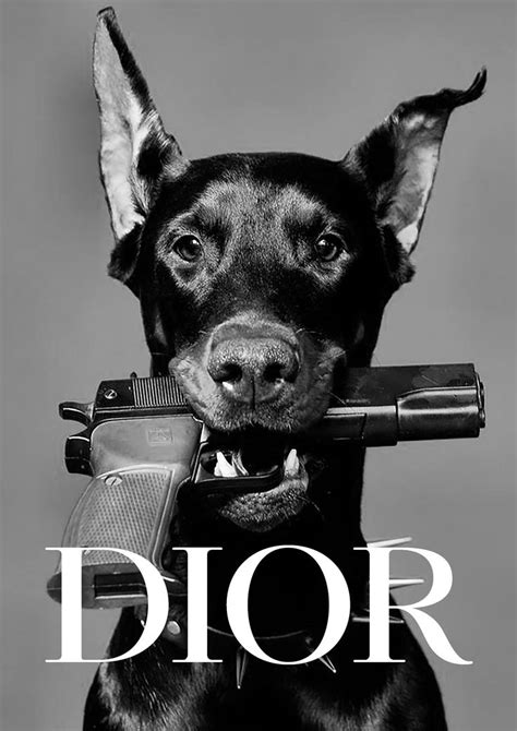 dior doberman poster